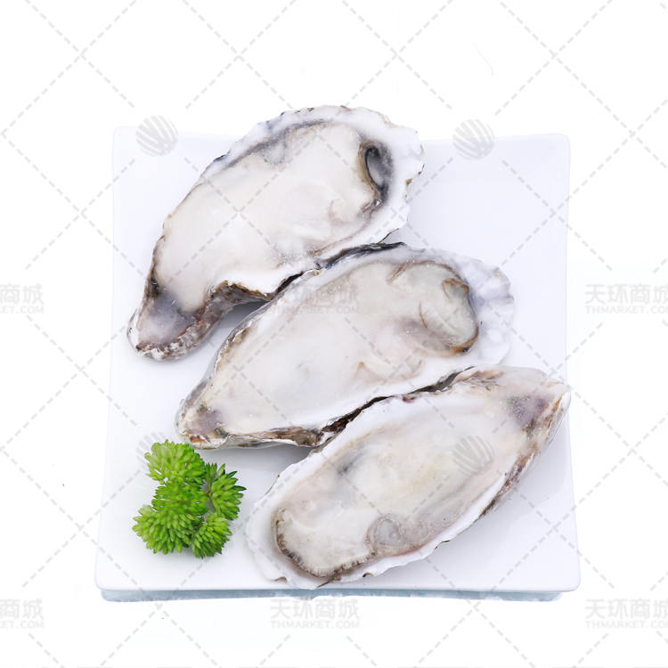 【福海缘】速冻半壳牡蛎   约10kg
