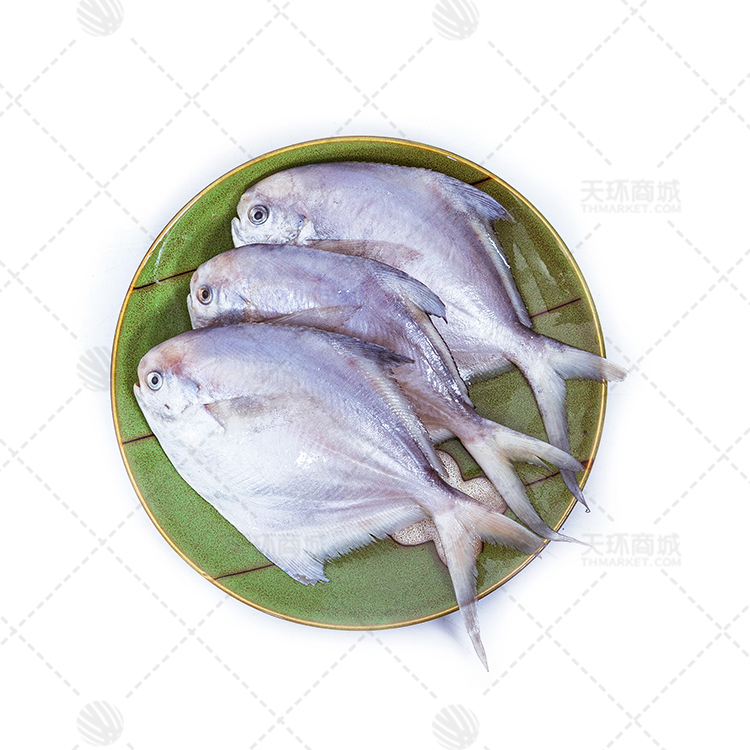 【鹏海】冷冻鲳鱼（多规格）2.3kg