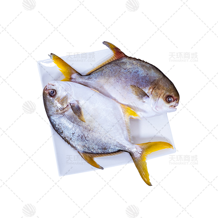 【北部湾】金鲳鱼 包冰率35%毛重 10kg