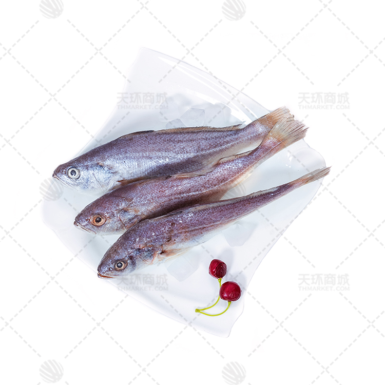 【西海岸】白菇鱼  10kg