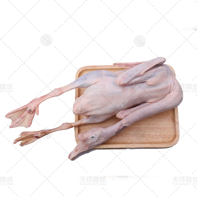 【红荷】老鹅 20kg