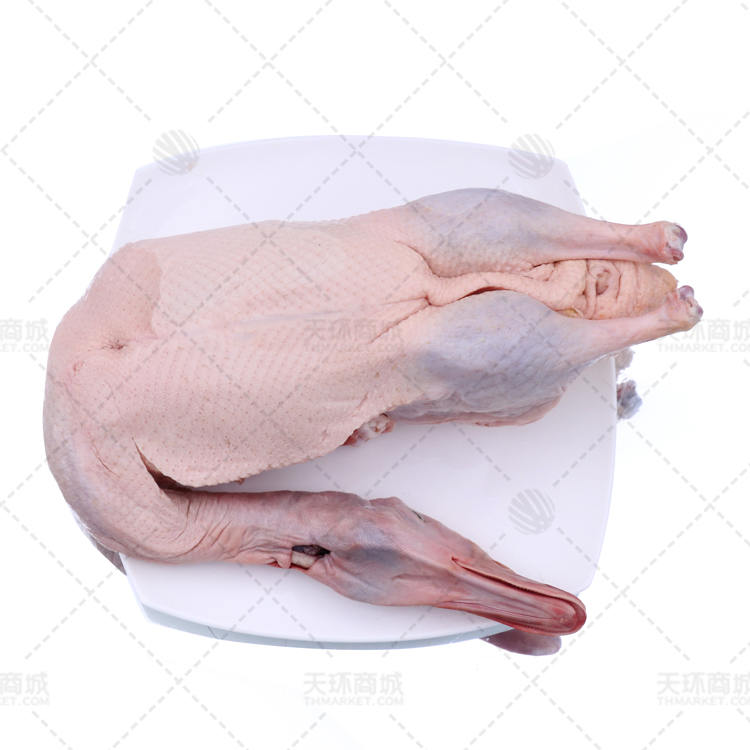 【忠意】健康瘦肉鸭/白条鸭 8-10只 13.6-16.8k...