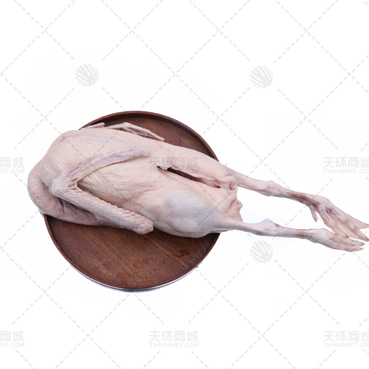【鹤泉】东北精品白条鹅 20kg