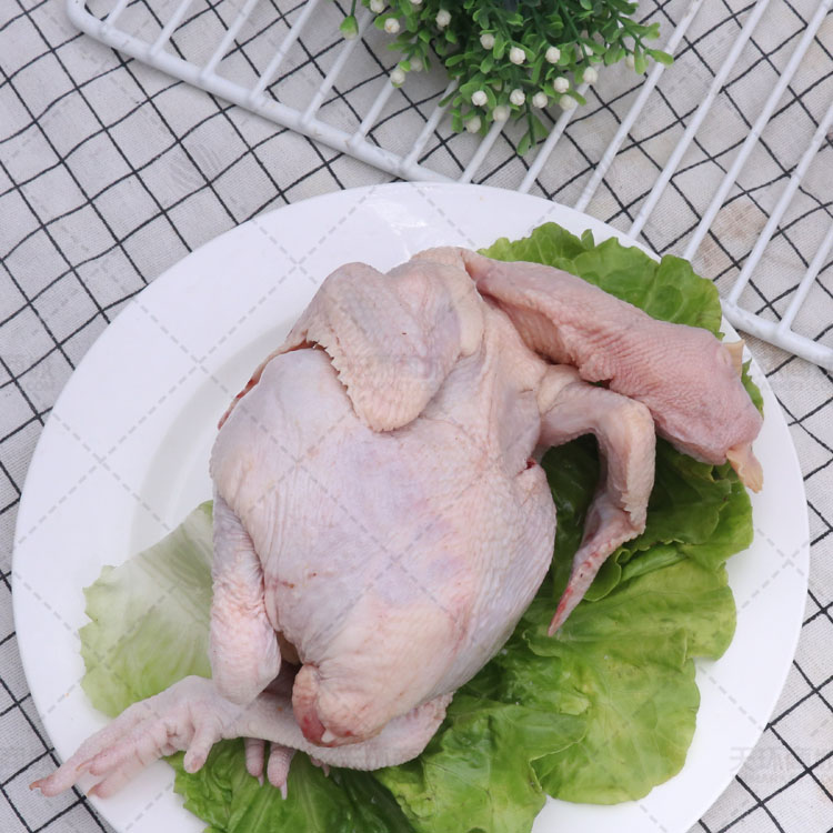 【鑫伊明】清真三黄鸡（盘脚）9-15只 9.5KG