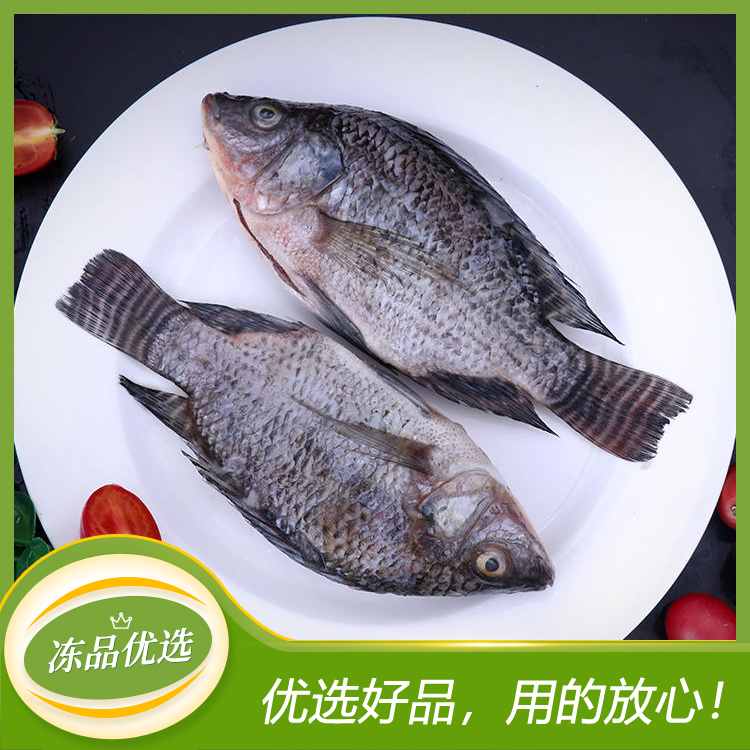 【003】罗非鱼/三去罗非鱼（多规格）3kg