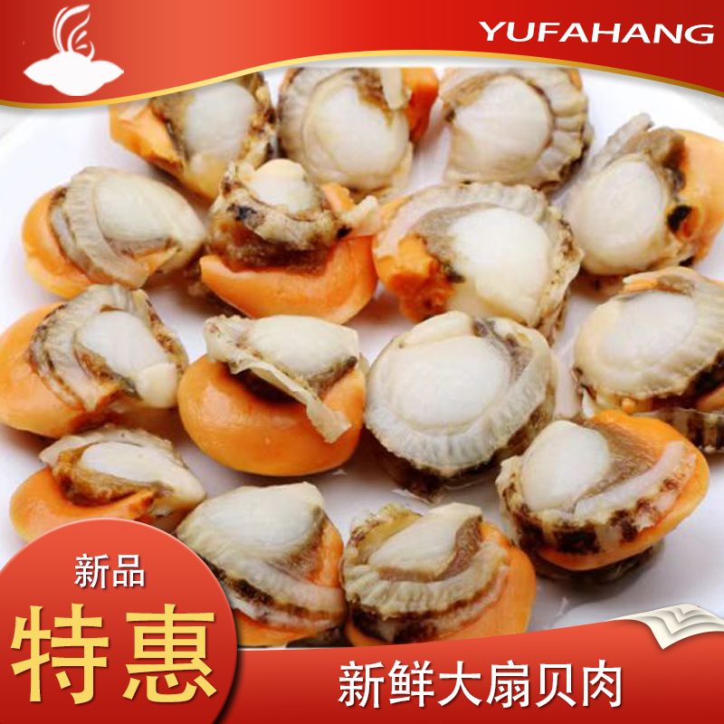 【海东】 中/大号原汁皇冠贝 冻煮裙边贝 扇贝肉 5Kg