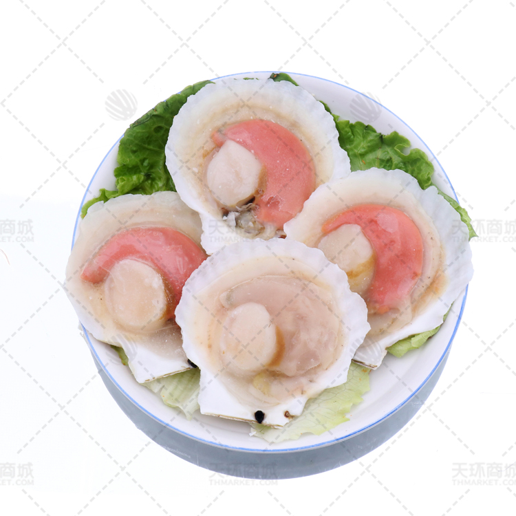 【海东】 （冻半壳）虾夷贝  散装   8-16kg