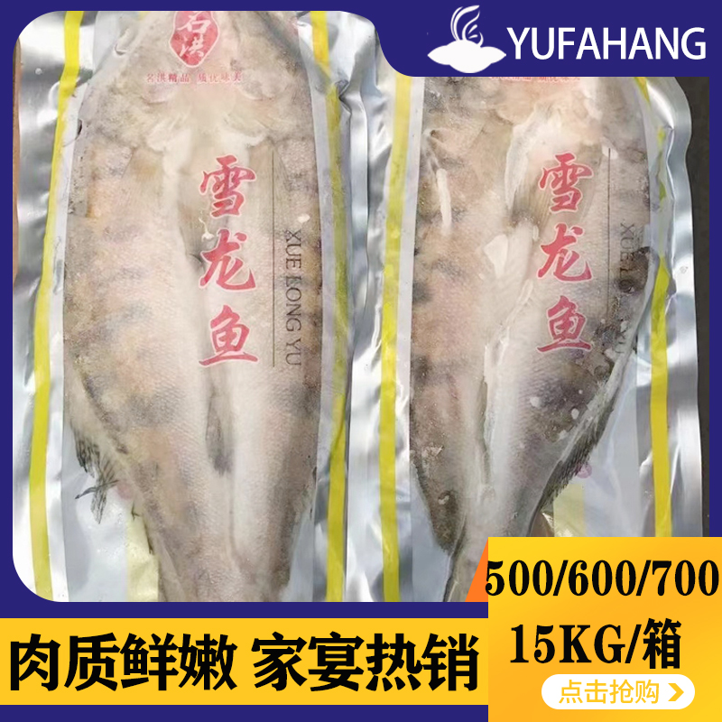 【多洪】天山雪龙鱼 多规格 15kg
