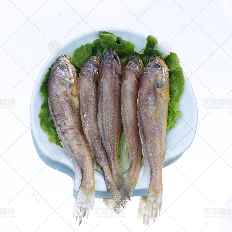 【吴金利】东海野生小黄鱼  2.25kg