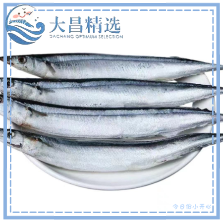 【京鲁渔业】秋刀鱼 大小多规格 10kg 