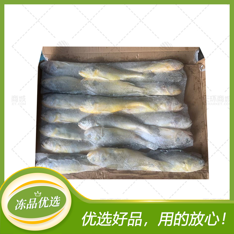 【天彤】大黄鱼 毛重约3.5kg
