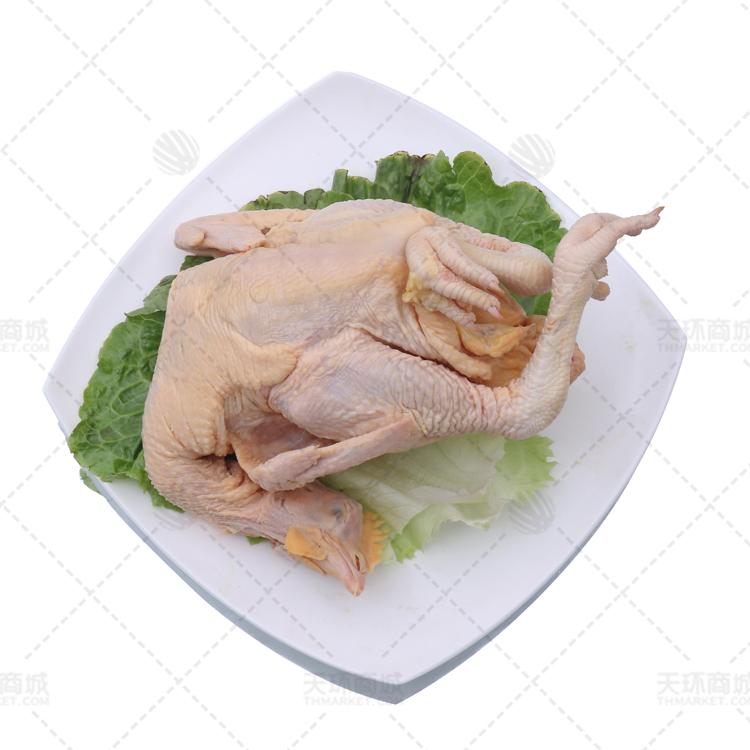【宫庆皇】清远鸡  多规格  22kg