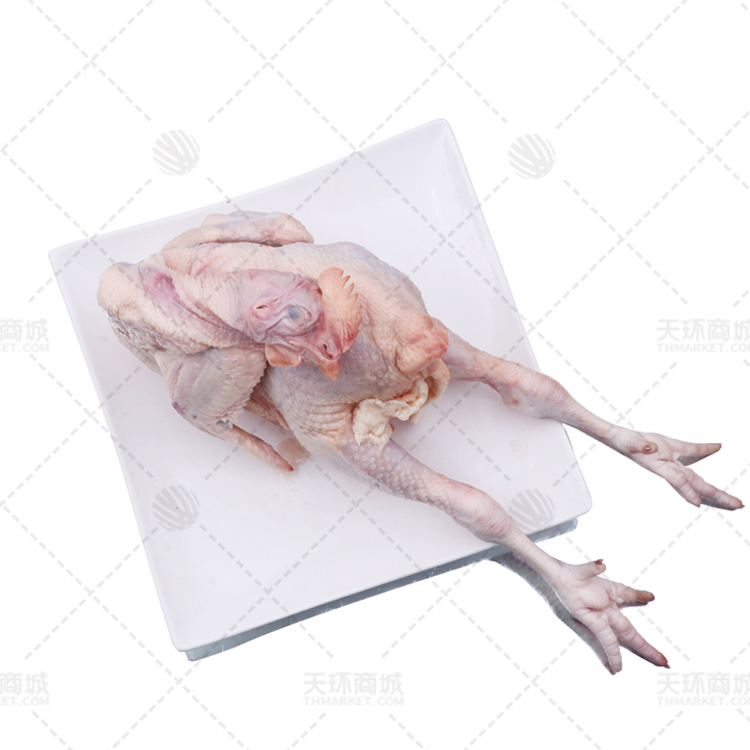【华卫】皖江黄鸡 多规格 9.5kg