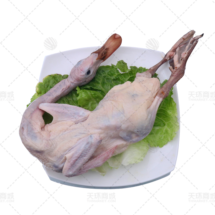 【东发】老麻鸭 多规格 19.5kg