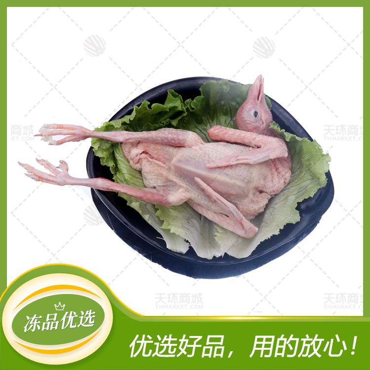 【三德】鸽王/乳鸽/鸽子（多规格）20只装