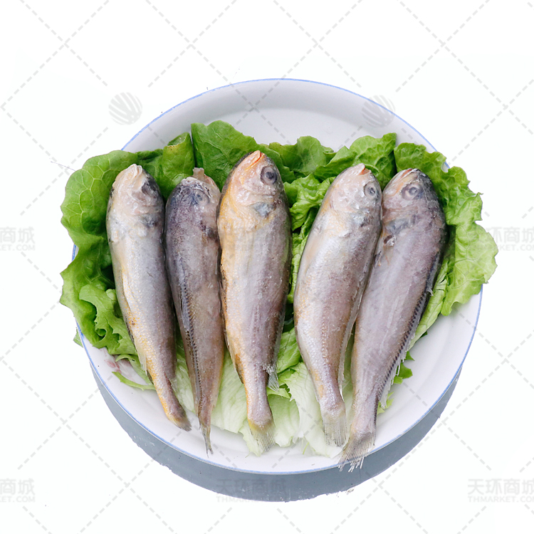 【海沃德】东海黄花鱼 多规格  6kg