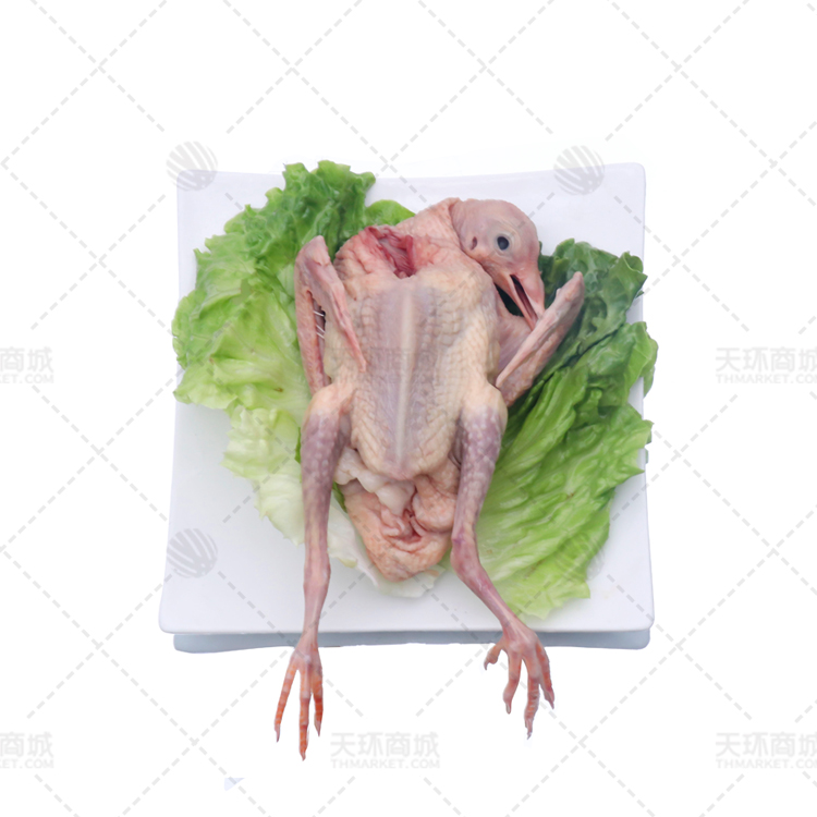 【三德】鸽王 约8kg/20只
