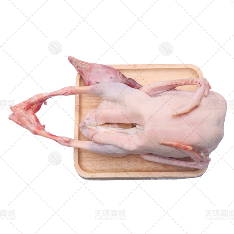 【皖润】东北老鹅 5只/6只 约20kg