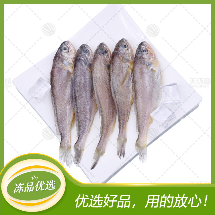 【子丰洛/讨海人】黄花鱼/小黄鱼/二去黄鱼（散装） 