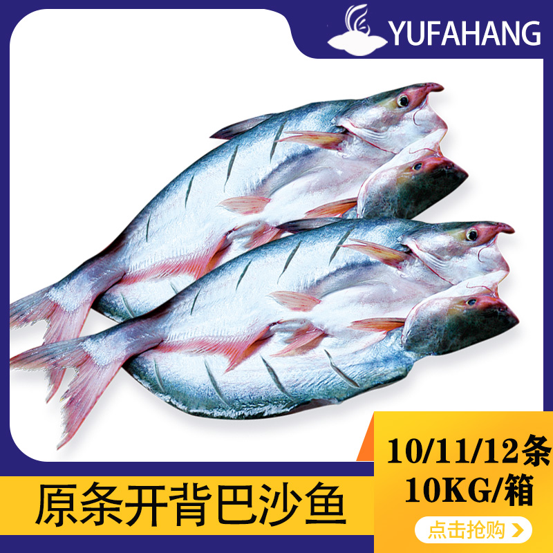 【HF】开背巴沙鱼 烤鱼专用 多规格 10kg