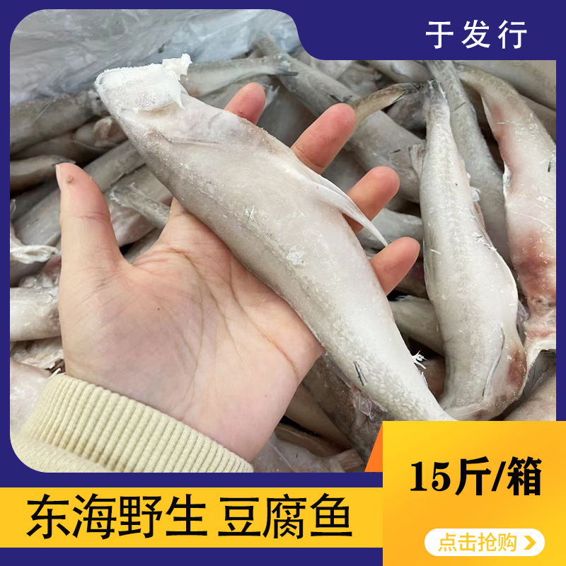 【于发行】龙头鱼（豆腐鱼）7.5kg