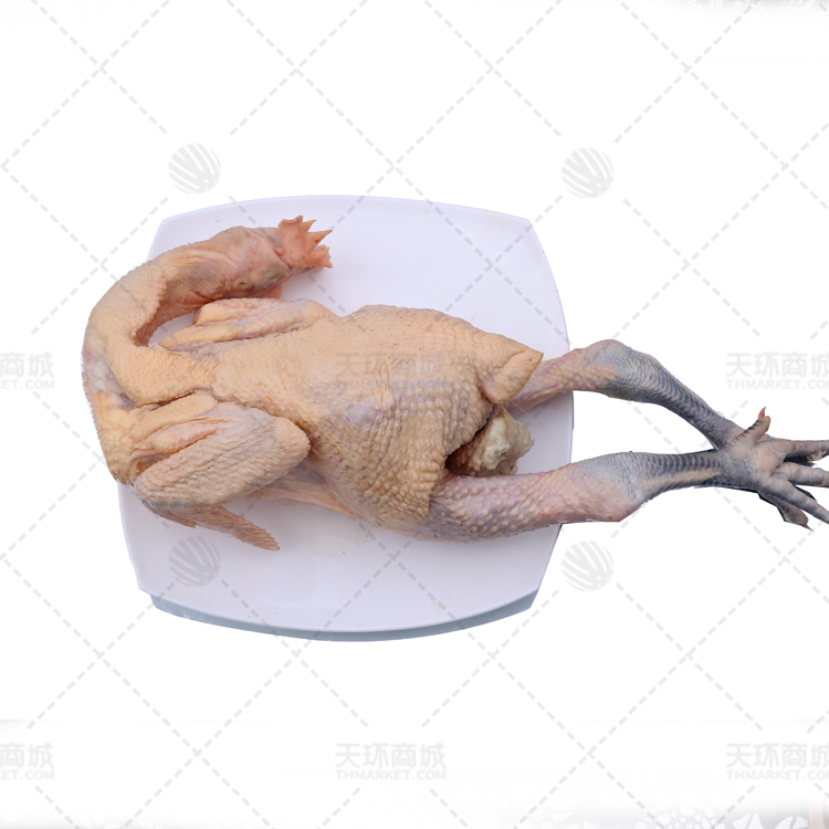 【诚通】散养黑爪笨公鸡9.5kg