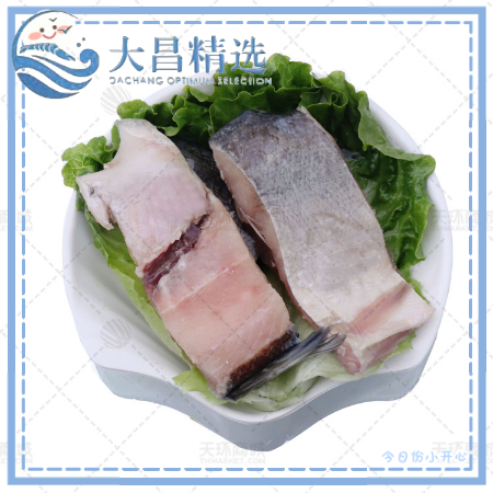 【诚发】活冻鲜鱼片 9.5kg