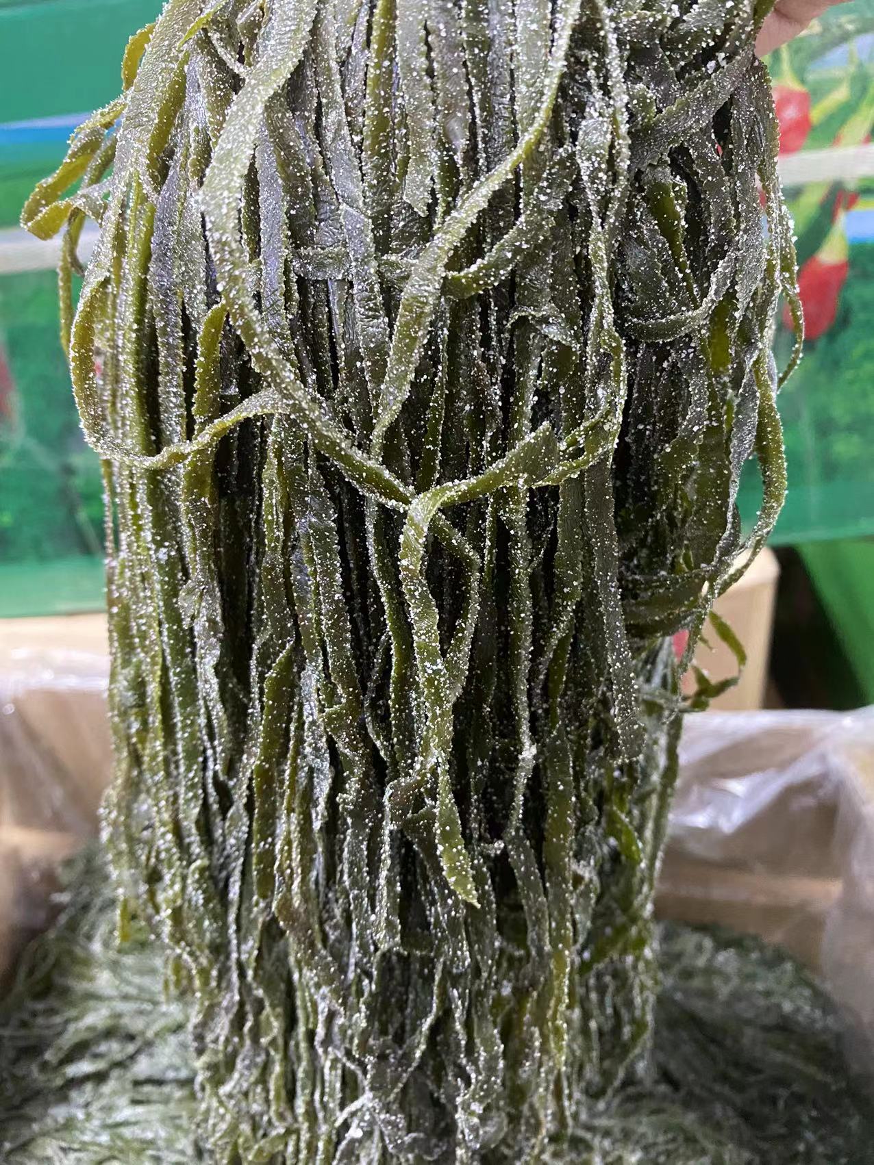 【冷藏】【海禾】特极盐渍干海带丝 6kg