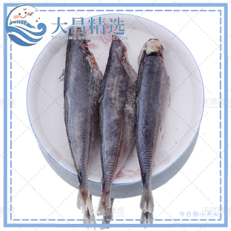 【正生】三去沙丁鱼 8.5kg