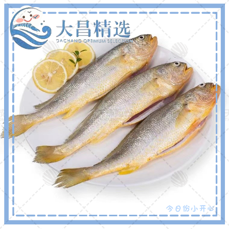 【涂鲜活】去肠小黄鱼 散装8.5kg