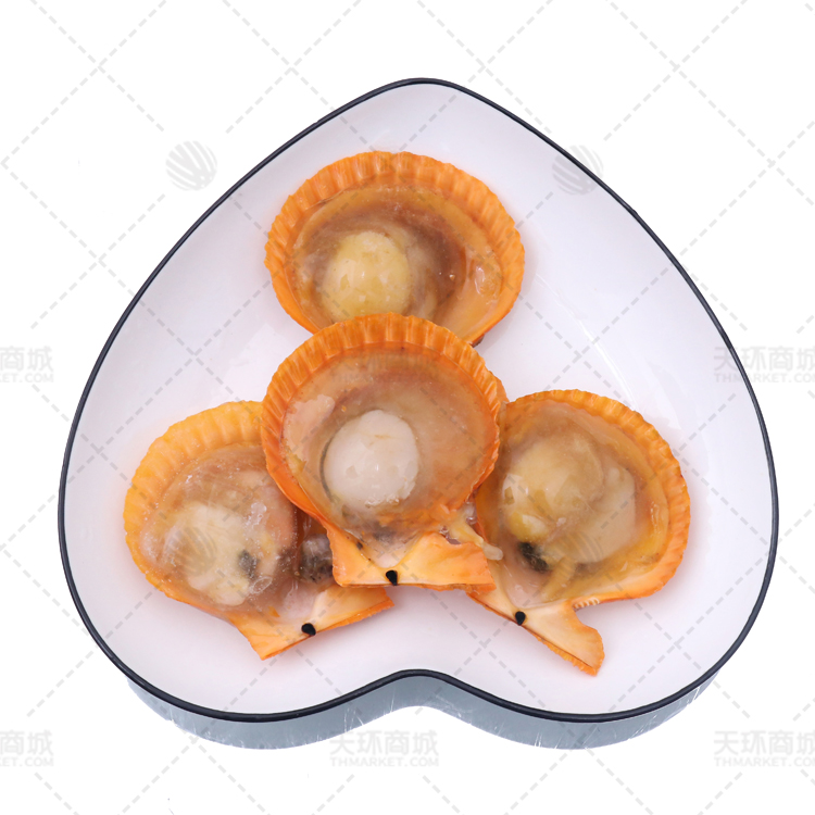 【蓝蓝金月湾】干冰黄金贝8-9cm 包冰率10-15% 3.5kg