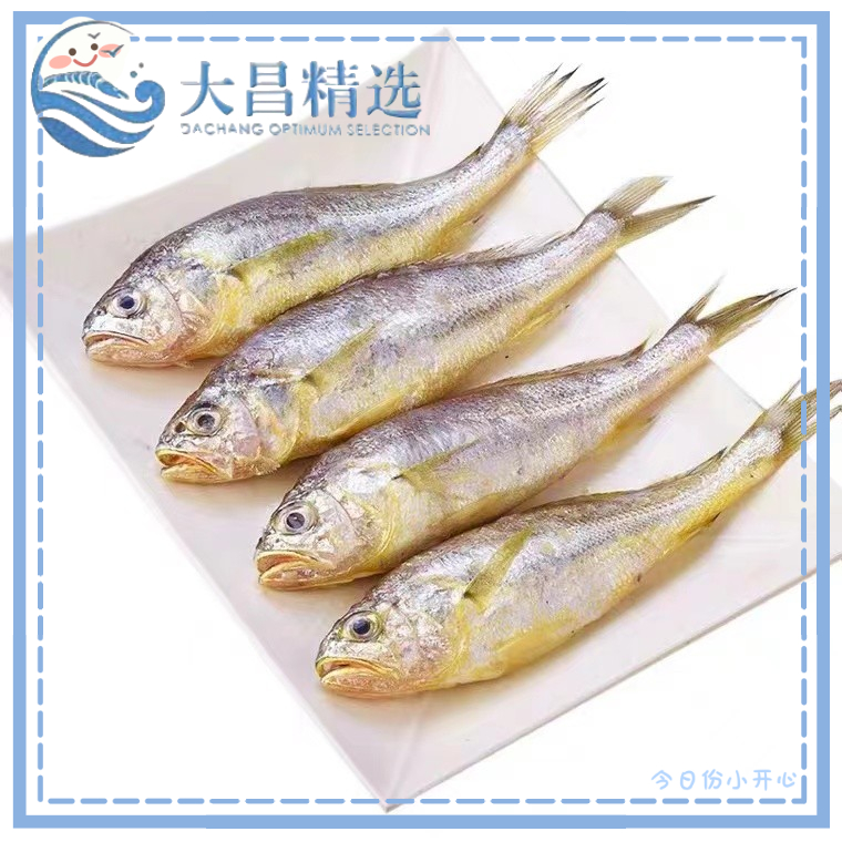 【爆款】【幸福】养殖东海黄花鱼  多规格  2.5kg