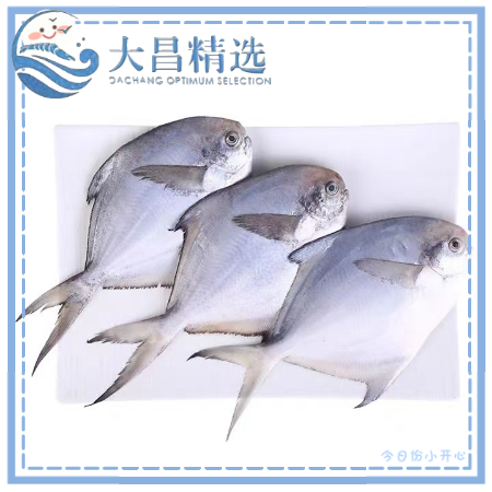 【海之星】二去鲳鱼 多规格 净重5kg