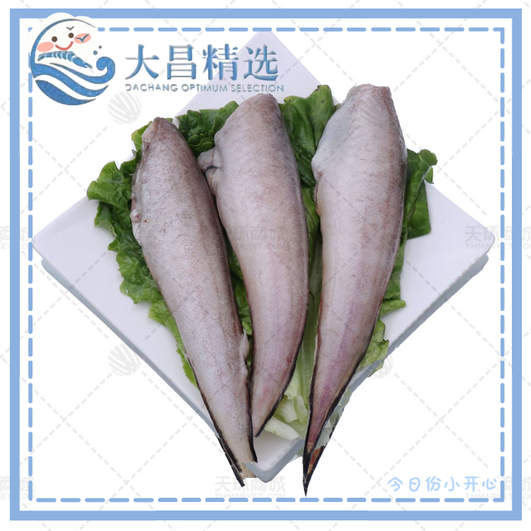 【正生】 三去凤尾鱼 5.5kg