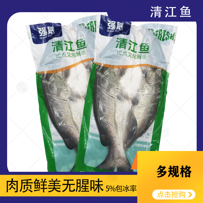 【强晟】清江鱼 多规格 刨冰率5%左右 约11kg