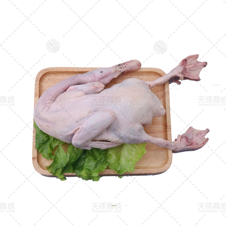 【梵盛发】鲜冻老鸭多规格 19.5kg