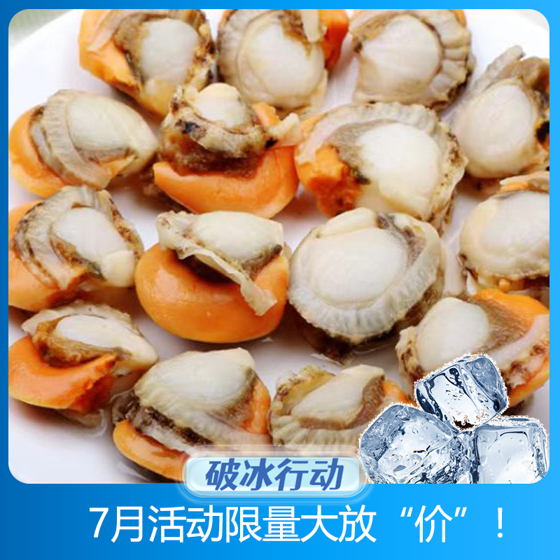 爆款【海东】原汁皇冠贝40-60 冻煮裙边贝 扇贝肉 5Kg