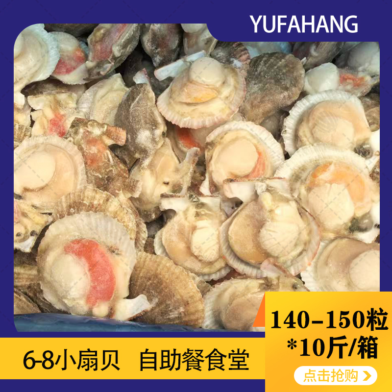 【海东】冻半壳虾夷扇贝 6-8 散装 约140-150粒 5kg