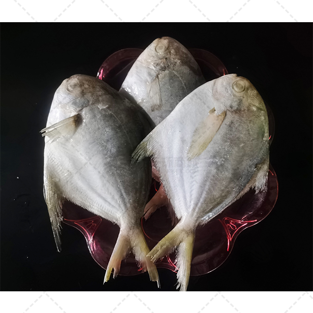 【CAIS】冷冻鲳鱼 200-300g 10kg