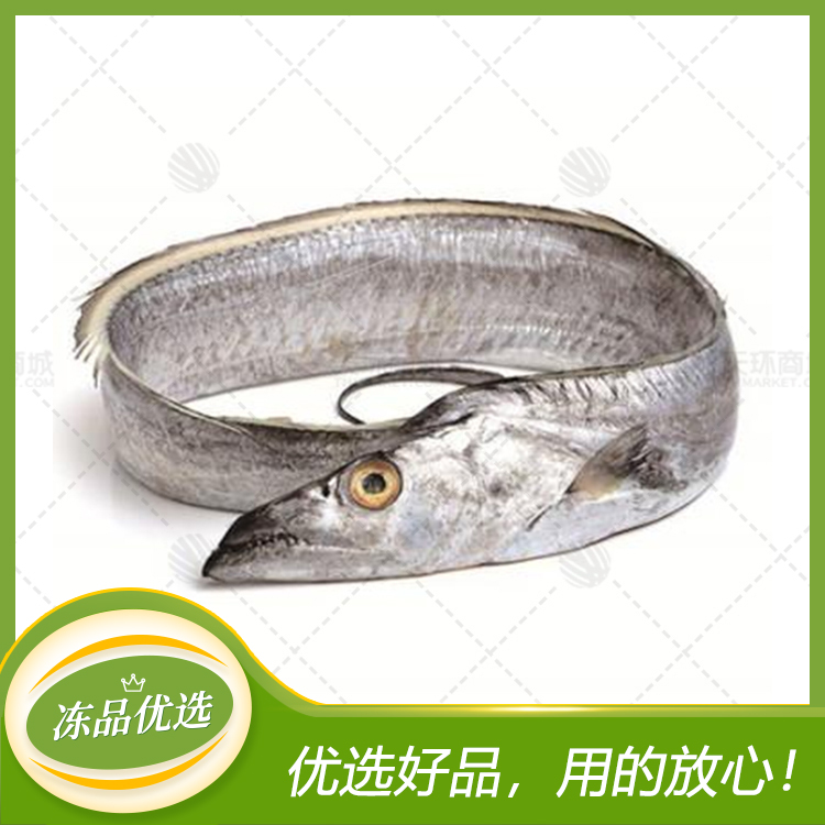 【786】AA带鱼 10kg(多规格)