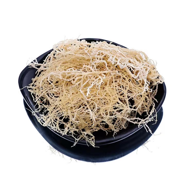 【其他】石花菜/龙须菜（特好）（多规格）