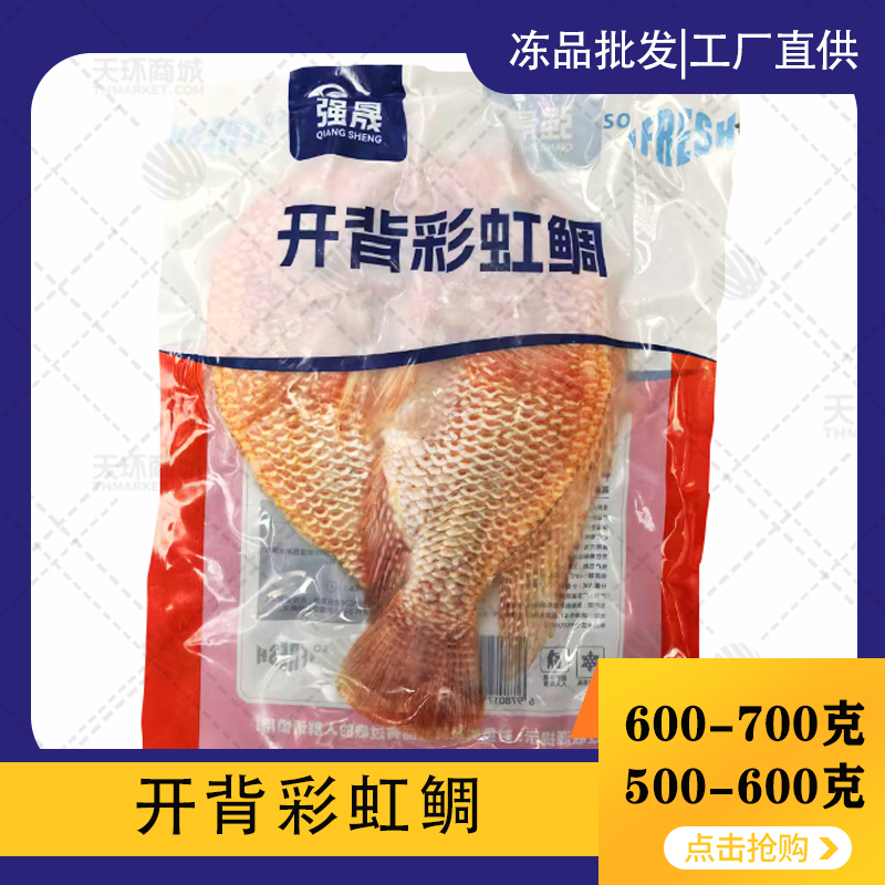 【强晟】彩虹鲷 多规格 10kg