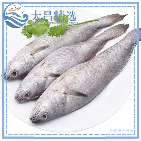 【海之星】三去去头米鱼 多规格大小 5kg