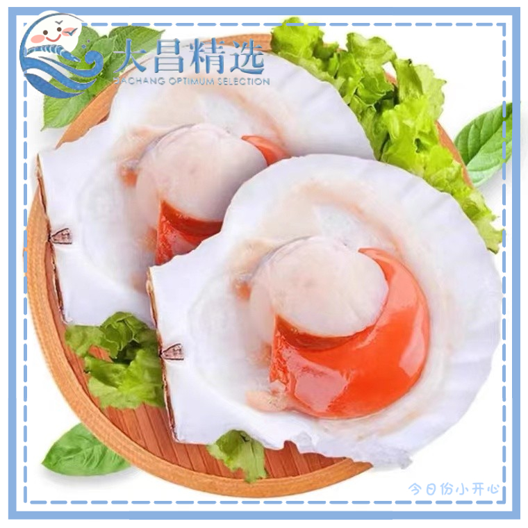 【成隆】冻半壳虾夷扇贝 8个*10包  10kg