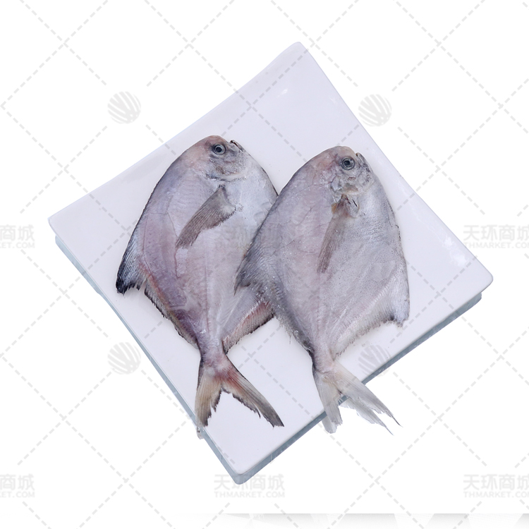 【优悦鲜】东海鲳鱼约25条 包冰率5-10%  2.5kg