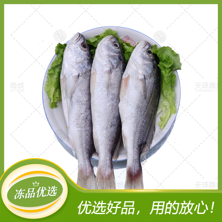 【龙虾牌】白菇鱼（多规格）净重10kg
