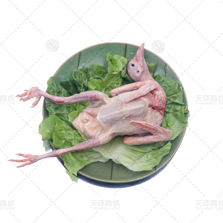 【鸿兴】鸿兴鸽王  约8kg （20只）