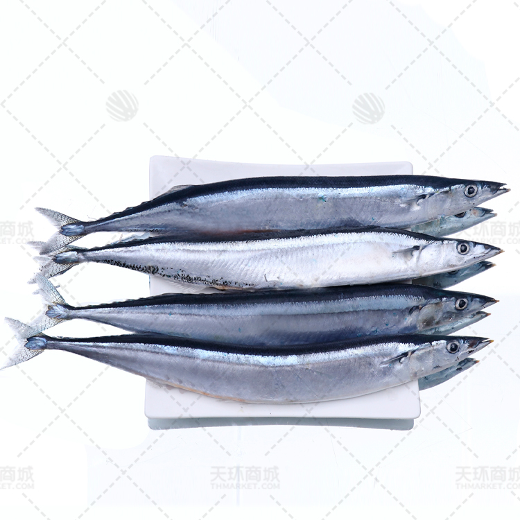 【船冻】秋刀鱼 多规格 9.5kg 