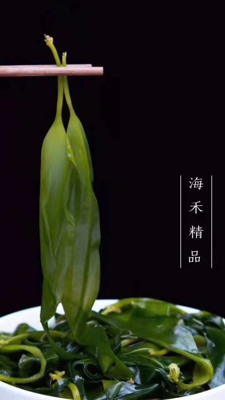 【海禾】/鑫金胜 鲜海带苗  多规格【冷藏】