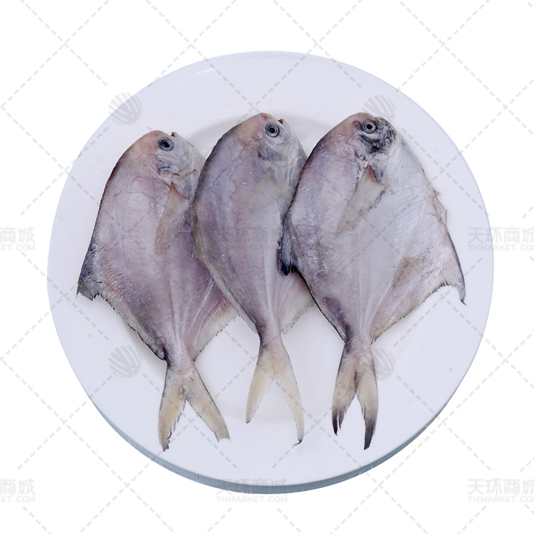 【优悦鲜】东海鲳鱼约22条 包冰率5-10%  2.5kg